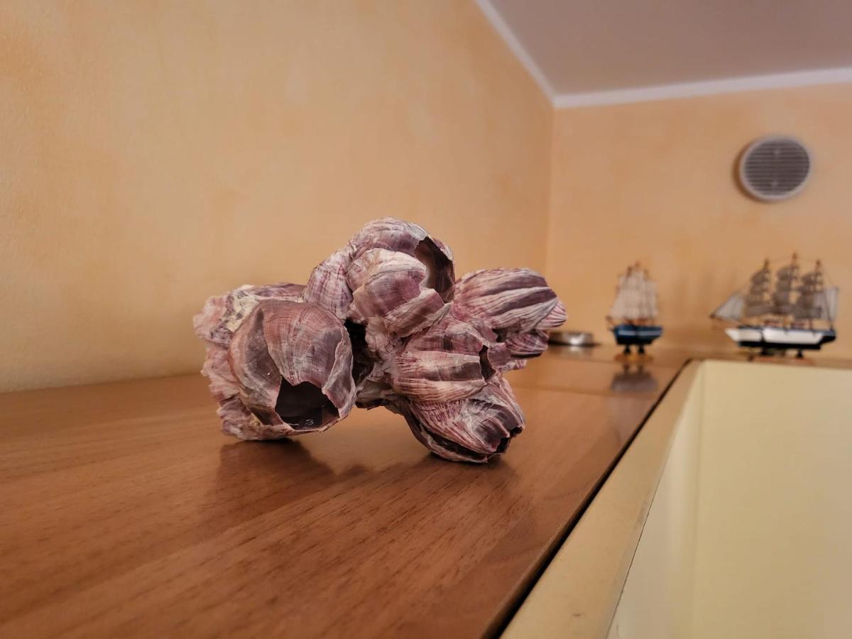 בורדיגרה The Shell Apartment מראה חיצוני תמונה